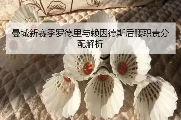 曼城新赛季罗德里与赖因德斯后腰职责分配解析