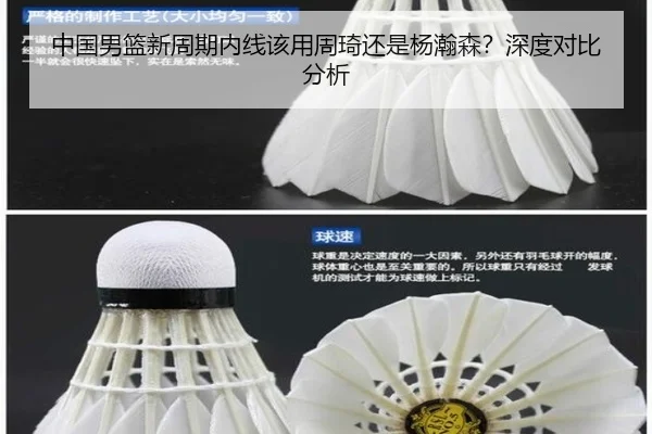 中国男篮新周期内线该用周琦还是杨瀚森？深度对比分析